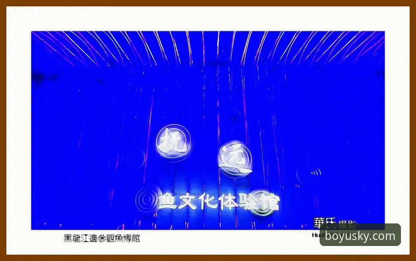 博鱼体育平台是否值得一试？从3个维度全面解析使用体验